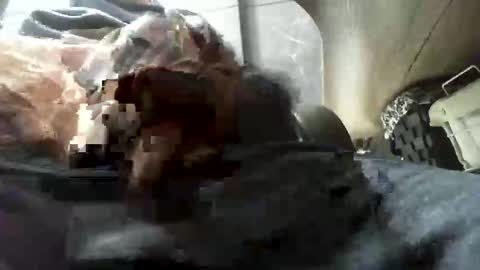 beninoam75 online show from 01.09.26