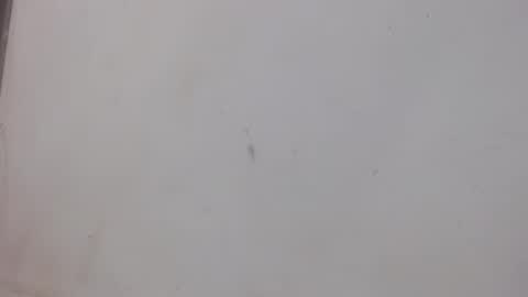 Snapshot of bergon30 chatting on 02.01.25 Bergon77 online show from 02.01.25