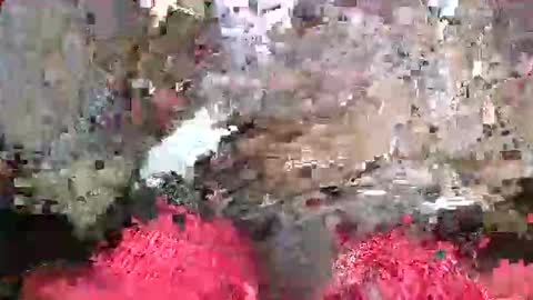 ToxicPipe757 online show from 05.20.26