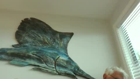 Snapshot of bestshot1951 chatting on 03.20.26 bestshot1951 online show from 03.20.26