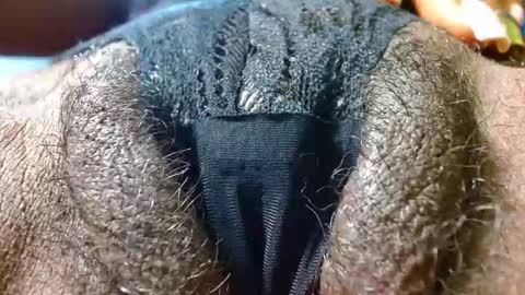 Bethany Wilson online show from 01.24.25