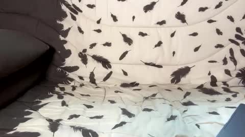 Snapshot of betterthanmen chatting on 02.13.25 betterthanmen online show from 02.13.25