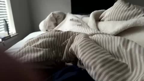 bgn111 online show from 04.01.26