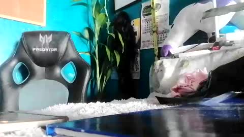 bheb_ji online show from 02.15.26