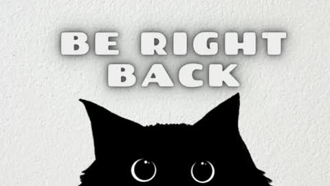 bibiana_js_ online show from 02.15.26