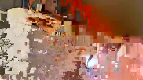 biff768816 online show from 02.02.26