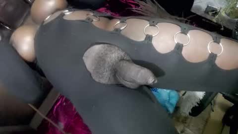 big_trans online show from 01.14.26