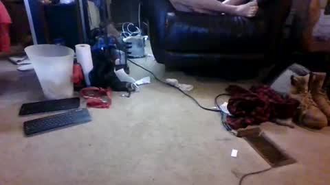 BB online show from 03.17.26