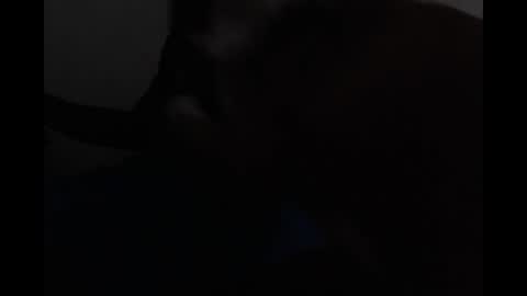 Bryson online show from 04.19.26