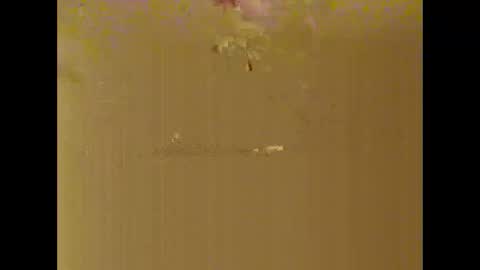 bigdaddydongarlets391292 online show from 10.17.25