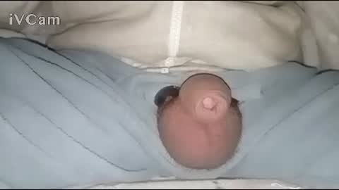 Big online show from 01.30.25