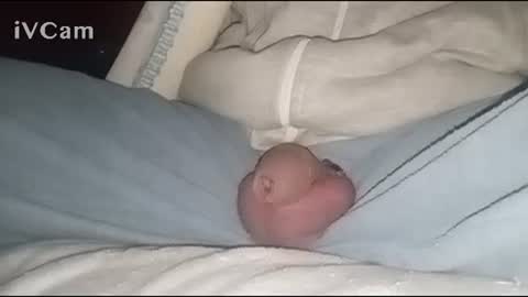 Big online show from 02.02.25