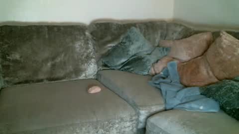 CAJEinc online show from 02.11.25