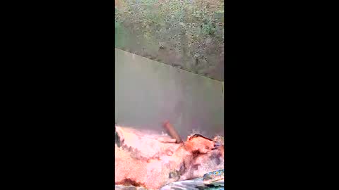 Snapshot of bigernine chatting on 01.10.26 bigernine online show from 01.10.26