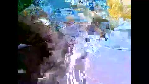 Mr Alpha online show from 12.11.24