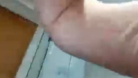 biggllh online show from 07.04.26