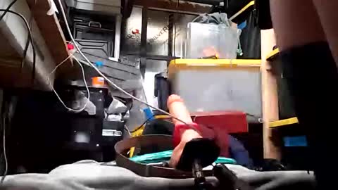 bigmanaround9 online show from 03.07.25