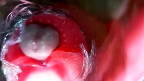 bigmoneycorey online show from 03.12.26