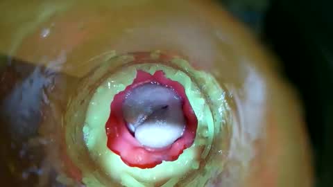 bigmoneycorey online show from 03.14.26