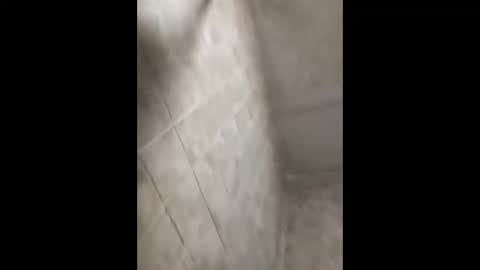 bignastyfilthy online show from 09.30.25