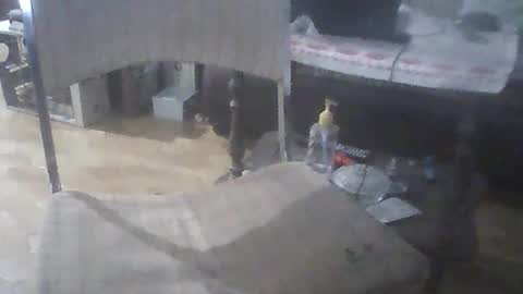 bigpenix online show from 04.26.26