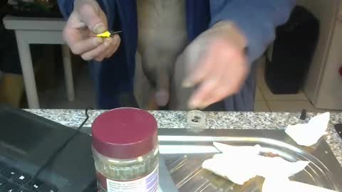 ...... online show from 01.22.25