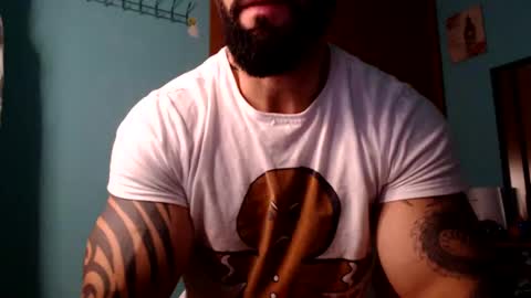 BigStallion online show from 12.18.24