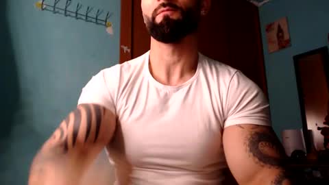 BigStallion online show from 02.08.25