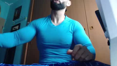 BigStallion online show from 11.12.25