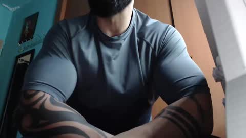 BigStallion online show from 11.19.25