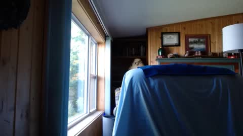 bigthicksatisfying2 online show from 09.17.25