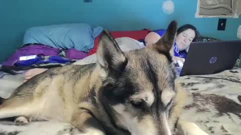 bigtomcat45 online show from 12.26.24