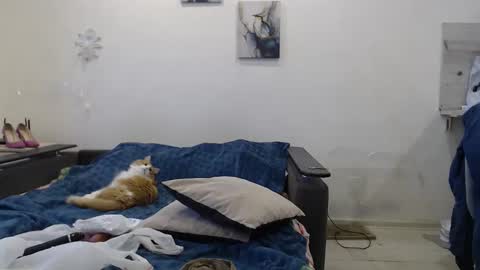 BigTwinsOmg online show from 11.18.25