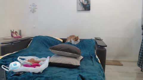 BigTwinsOmg online show from 02.27.26