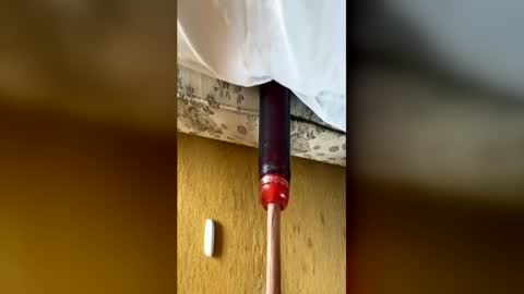 bigukphallus online show from 06.14.26