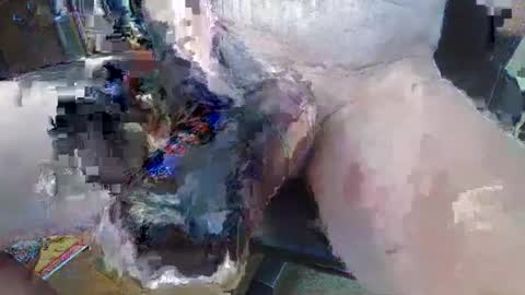 bigukphallus online show from 07.10.26