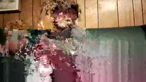 bigwytecock1979 online show from 02.03.25