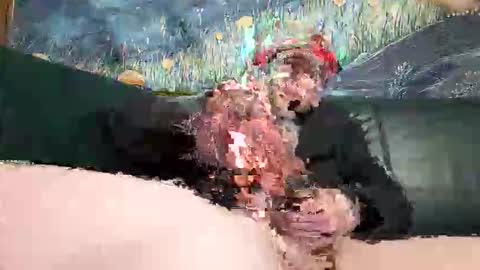 bigwytecock1979 online show from 04.19.26