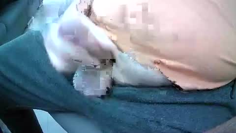 bikeman17 online show from 10.04.25