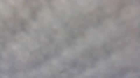 billmenow141 online show from 02.11.25