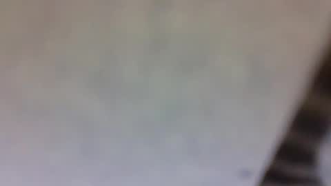 billmenow141 online show from 03.10.25