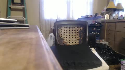 Bimbttm online show from 12.20.24