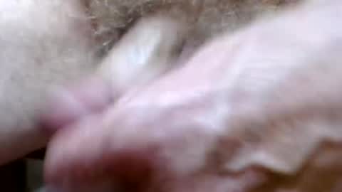 Snapshot of bitexan69 chatting on 09.20.25 bitexan69 online show from 09.20.25