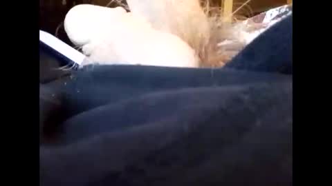 bjloversohard online show from 01.04.25