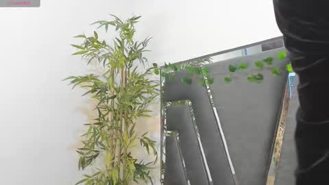 B L A C K  R O S E  online show from 02.10.25