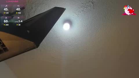 B L A C K  R O S E  online show from 02.12.25