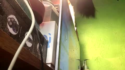 Crystal online show from 11.13.25