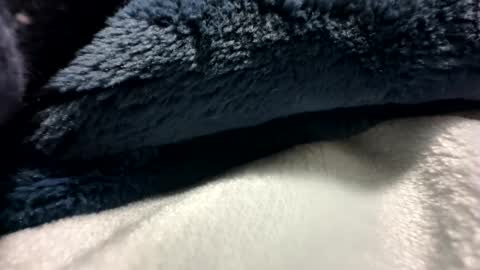 blackhammer8787 online show from 12.08.24