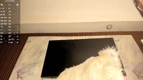 Karina online show from 02.20.26