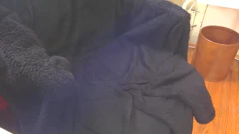 Aqua online show from 02.18.25